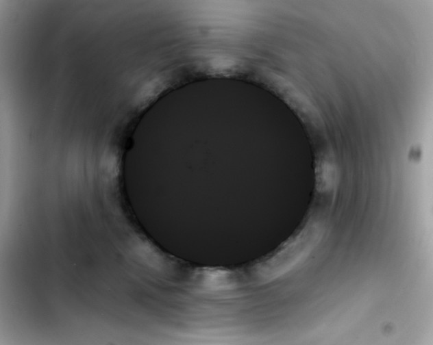 X0000103130472200809191945
