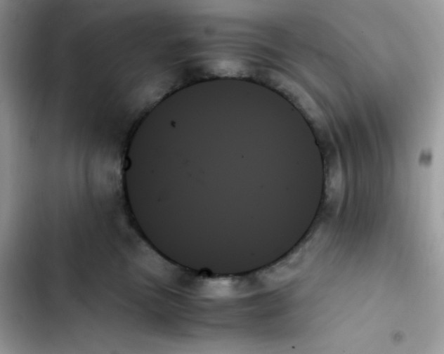 X0000103130473200809191946