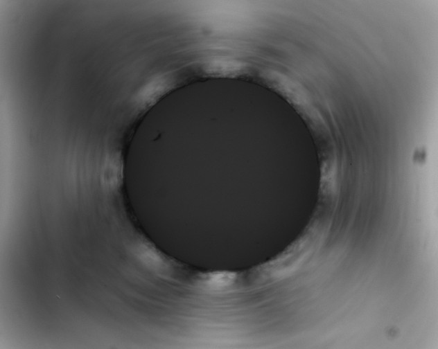 X0000103130474200809191946