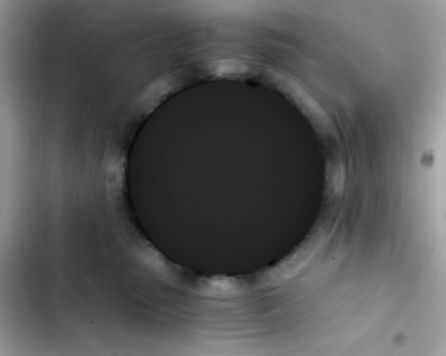 X0000103130475200809191946