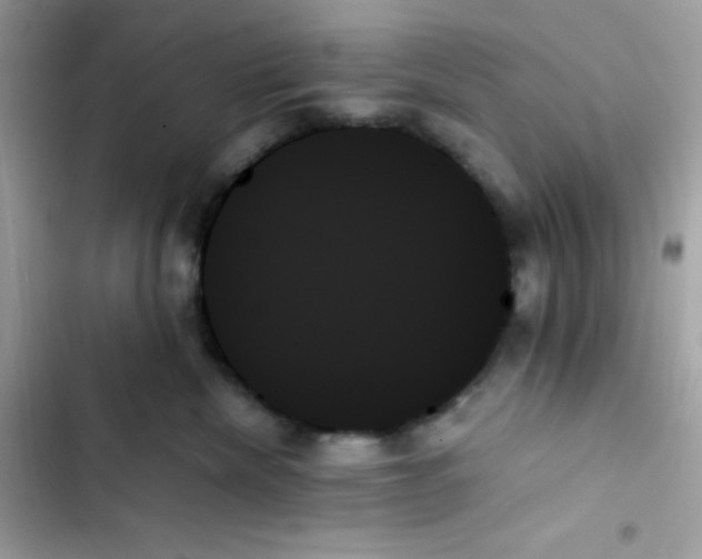 X0000103130476200809191946