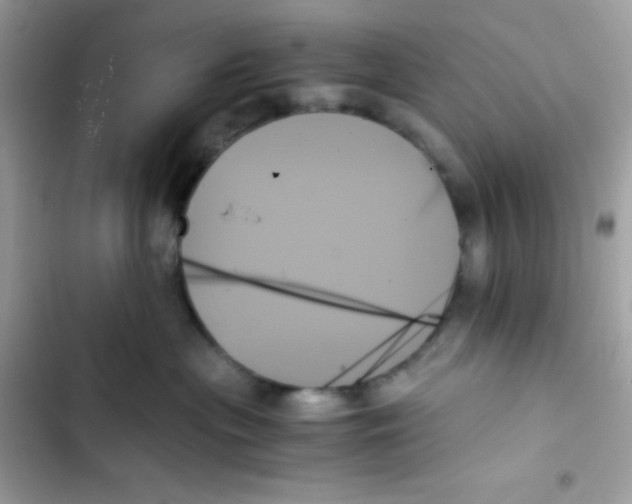 X0000103130477200809191946