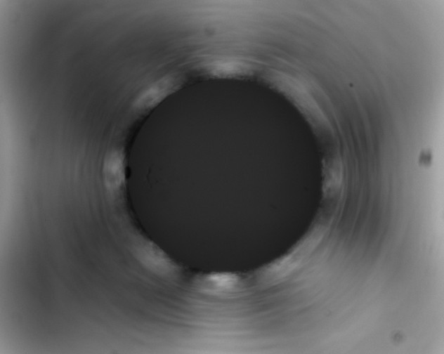 X0000103130478200809191946