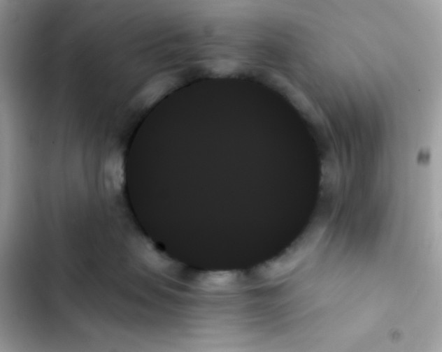 X0000103130479200809191946