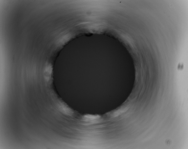 X0000103130480200809191946