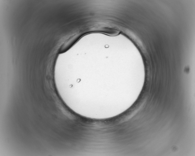X0000103130481200809191945