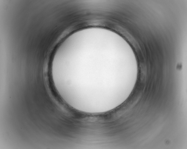 X0000103130482200809191945