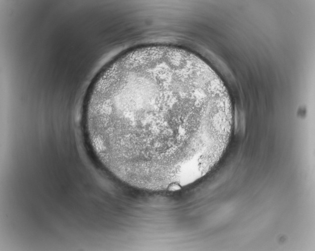 X0000103130483200809191945