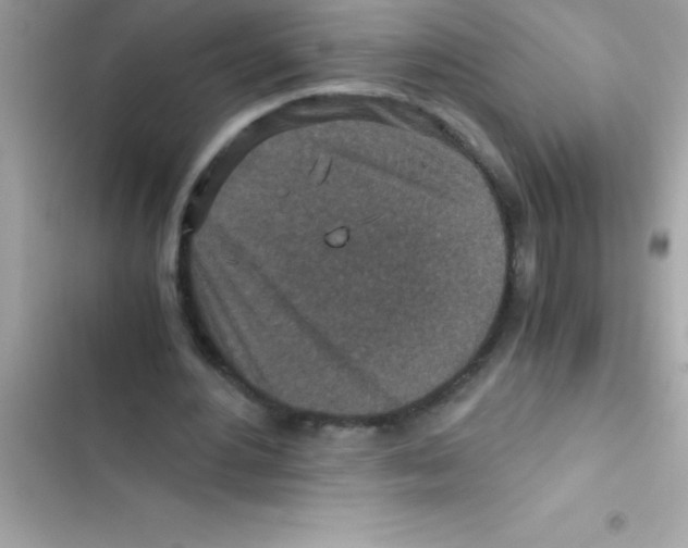 X0000103130484200809191945