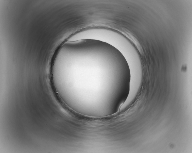 X0000103130485200809191945