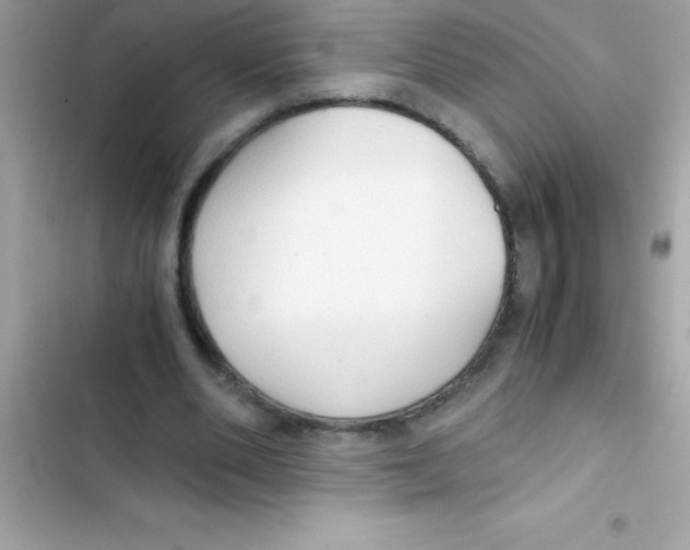 X0000103130486200809191945