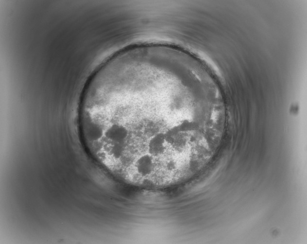 X0000103130487200809191945