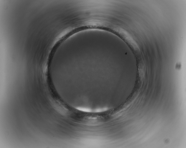 X0000103130488200809191944
