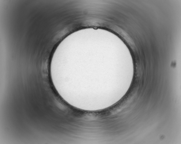 X0000103130489200809191944