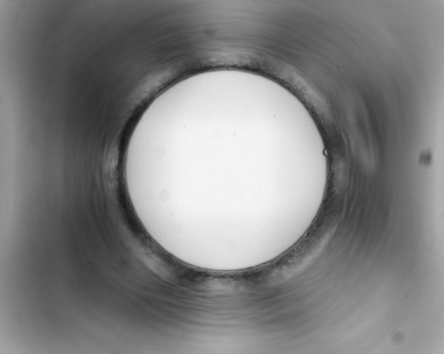 X0000103130490200809191944