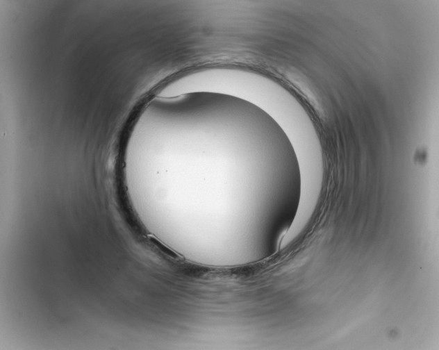 X0000103130491200809191944