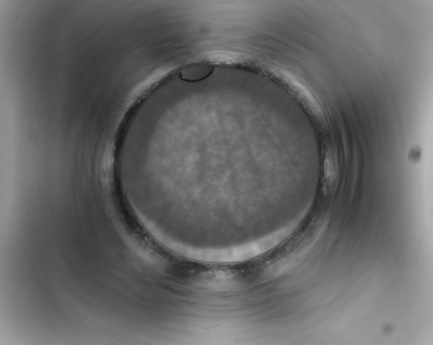 X0000103130492200809191944