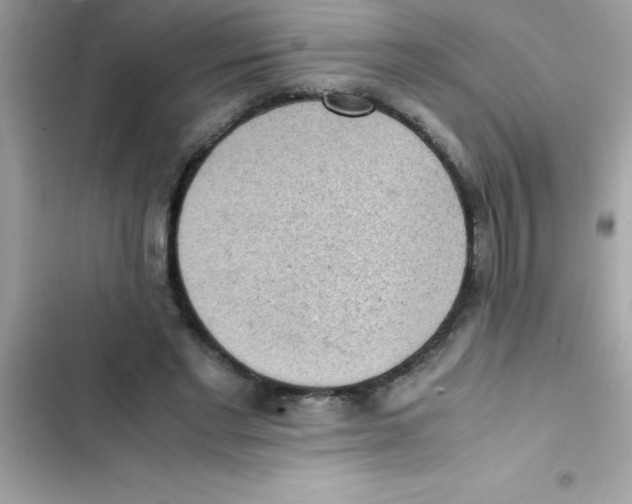 X0000103130493200809191944