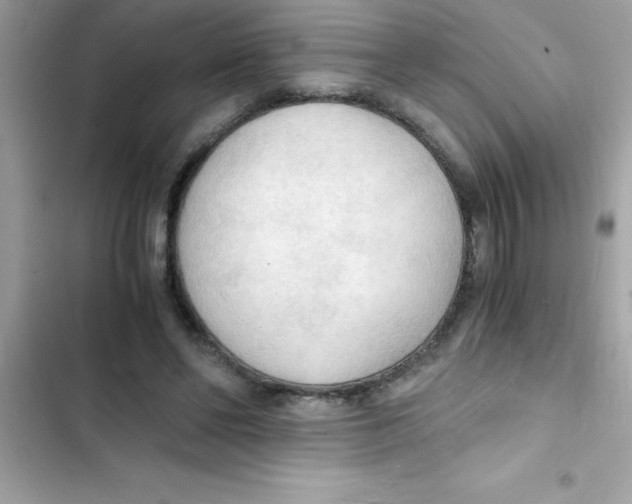 X0000103130494200809191944
