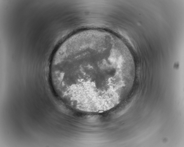 X0000103130495200809191944