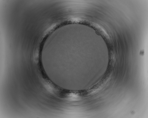 X0000103130496200809191944