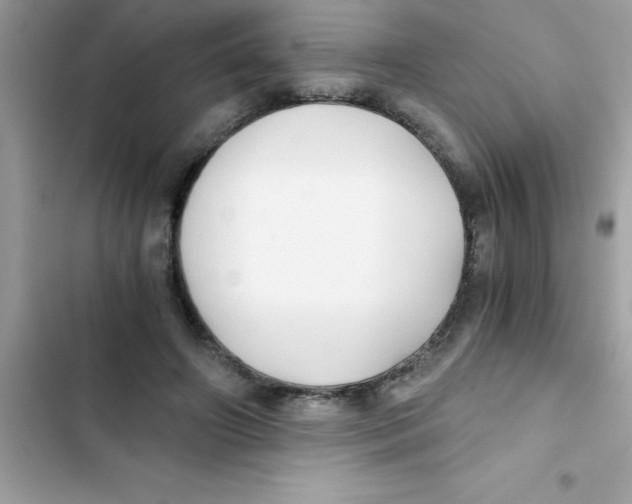 X0000103130498200809191944