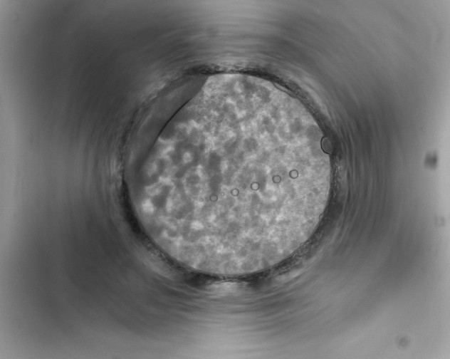 X0000103130499200809191944