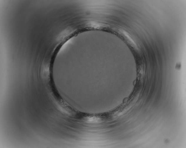 X0000103130500200809191944