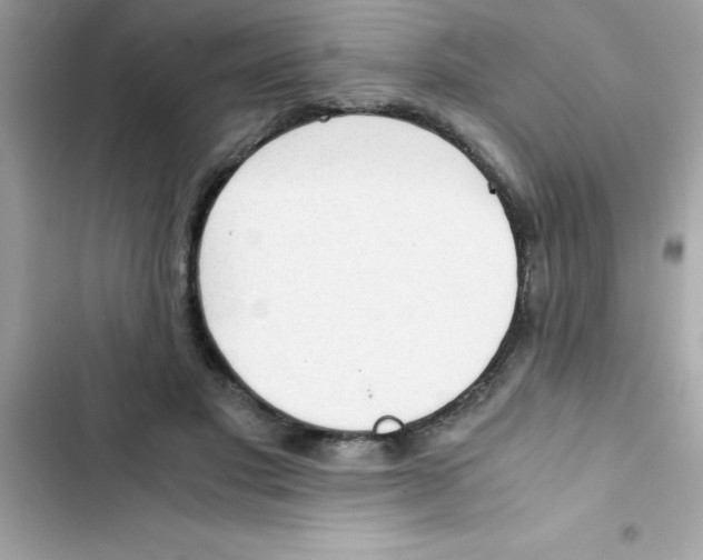 X0000103130501200809191944
