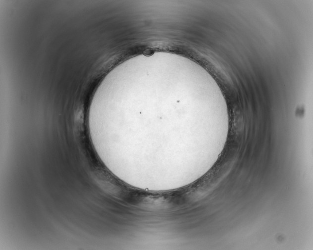 X0000103130502200809191944