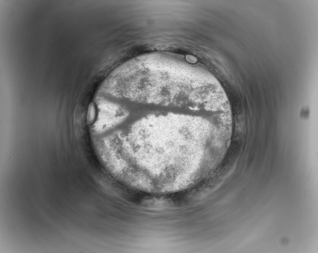 X0000103130503200809191944