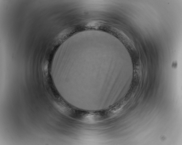 X0000103130504200809191944
