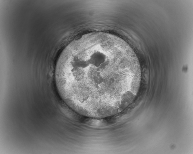 X0000103130507200809191944