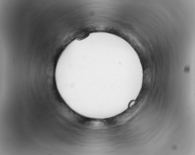 X0000103130509200809191944