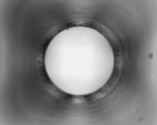 X0000103130510200809191944