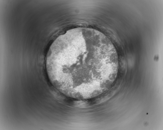 X0000103130511200809191944