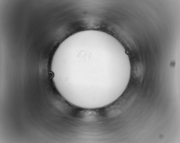 X0000103130512200809191944