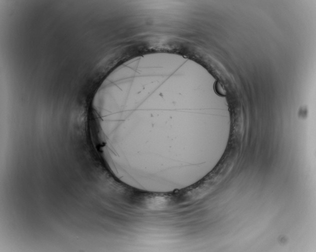 X0000103130513200809191944