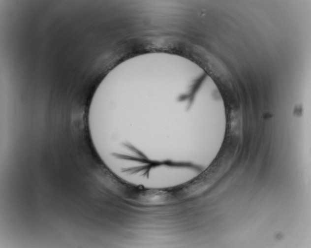 X0000103130514200809191944