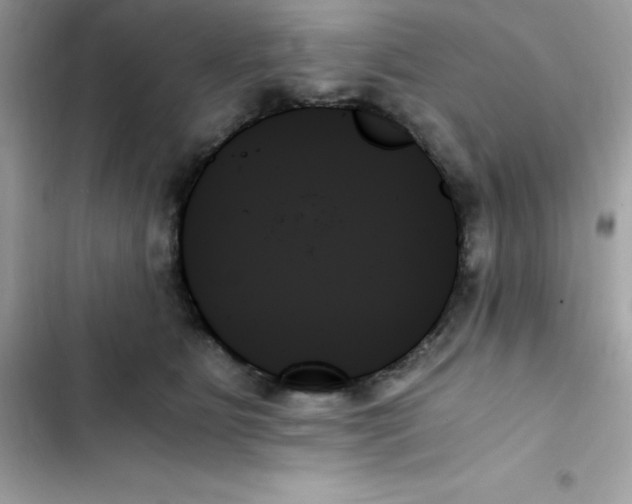 X0000103130515200809191944