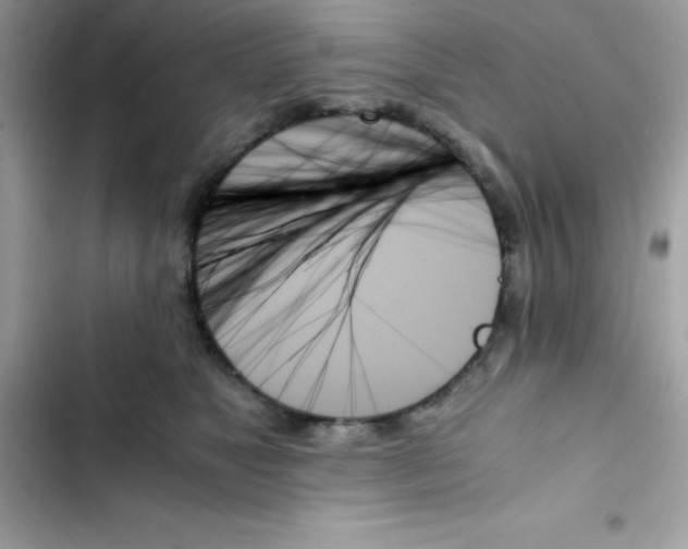 X0000103130517200809191944