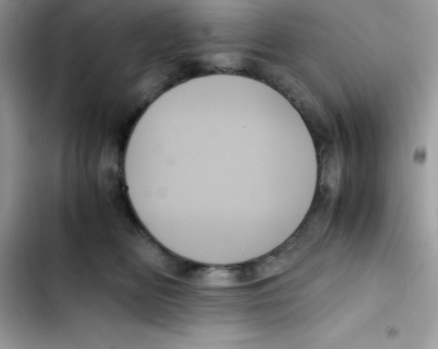 X0000103130518200809191944