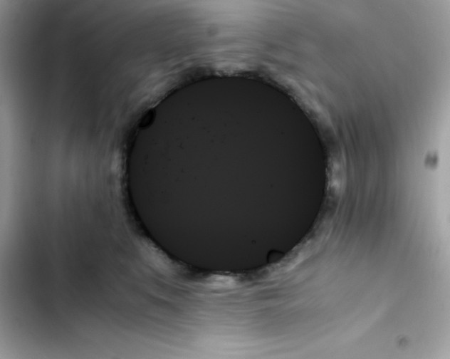 X0000103130519200809191944