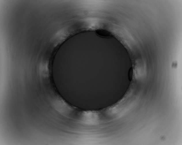 X0000103130520200809191944