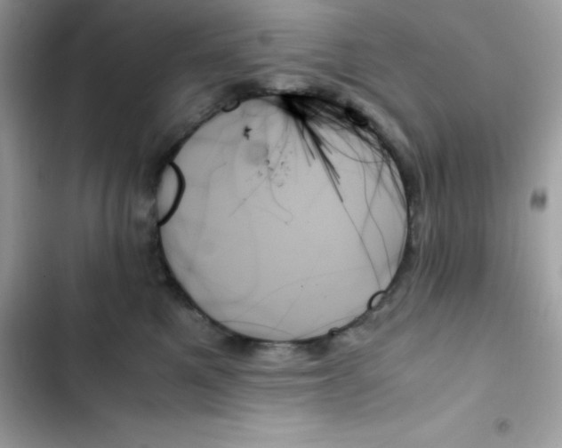 X0000103130521200809191944