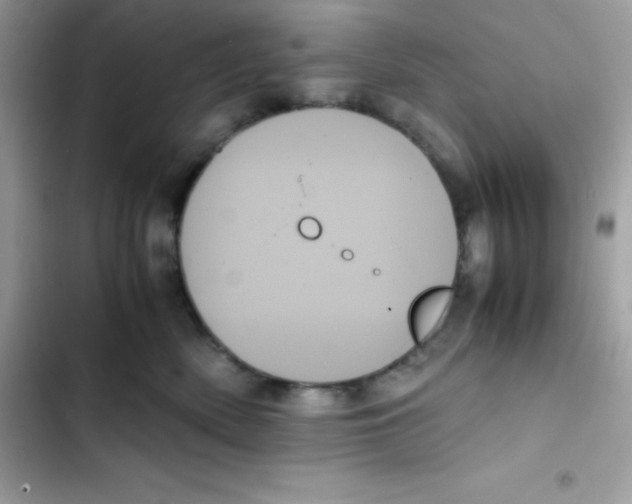 X0000103130522200809191944