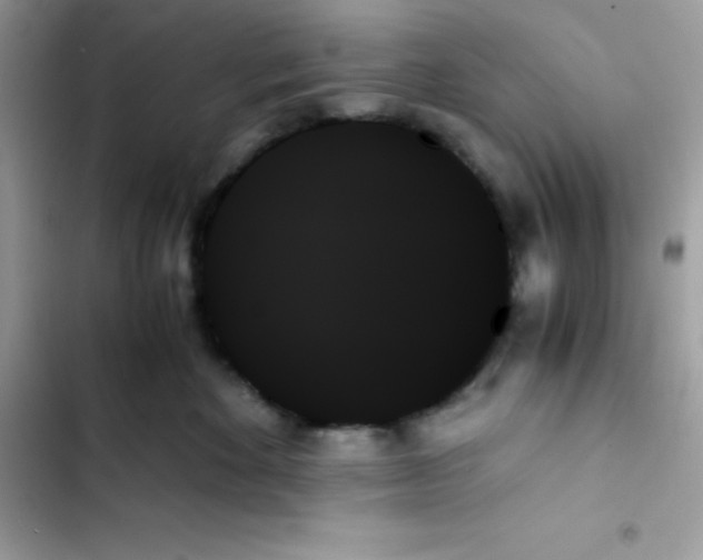 X0000103130524200809191944
