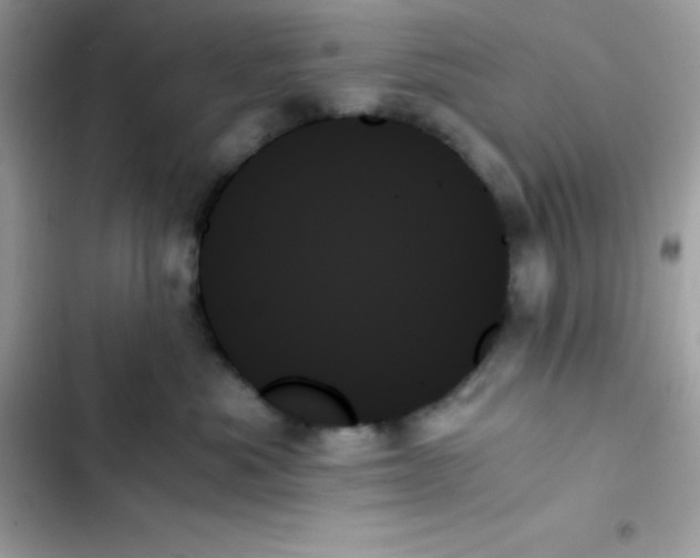 X0000103130525200809191944