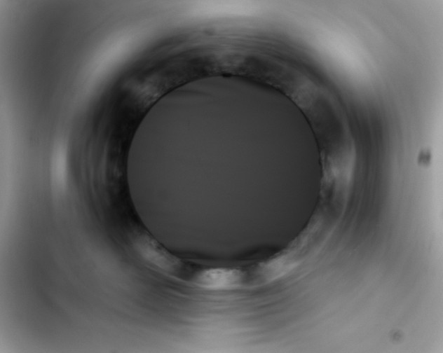 X0000103130526200809191944