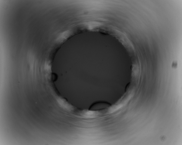 X0000103130527200809191944